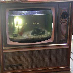 you are my everything