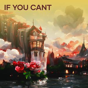 If You Cant