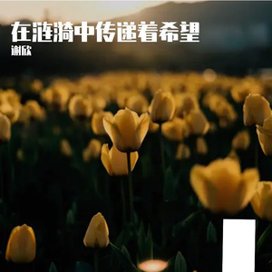 在涟漪中传递着希望