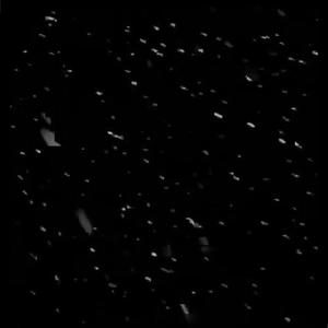 Froggy-南通下雪了，你不见了（Dyneverd1e remix）