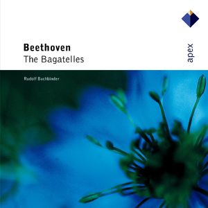 7 Bagatelles, Op. 33:No. 5 in C Major, Allegro ma non troppo