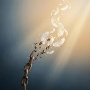 The Silent Release