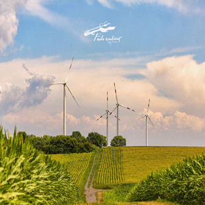 머리를 맑게 해주는 음악