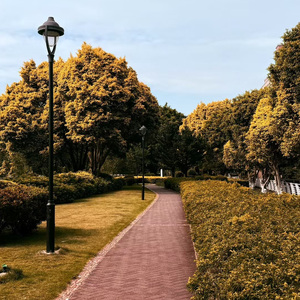 作态国家情怀 Epic national sentiment.