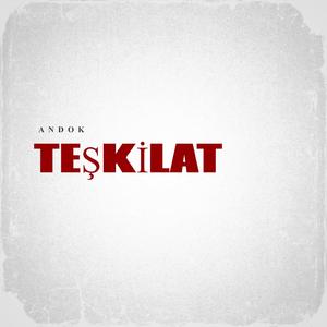 TEŞKİLAT