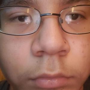 I Am Currently Dazed