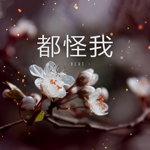 都怪我 (Beat)
