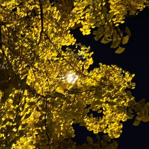 这世界还有光（Prod by Red killer)