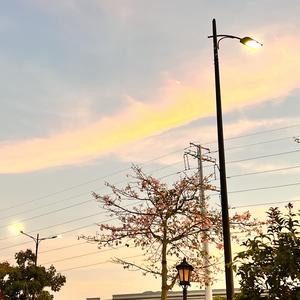 摇篮中慢慢睡去（宝宝催眠曲）