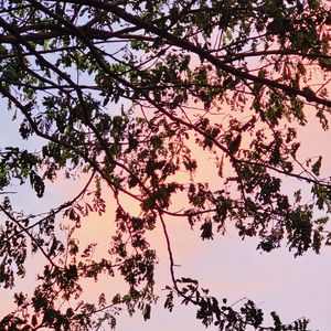 我们追逐着黄昏