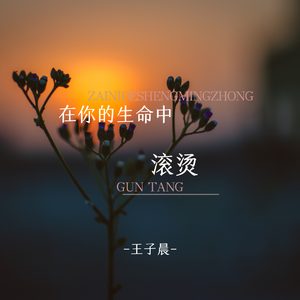 在你的生命中滚烫