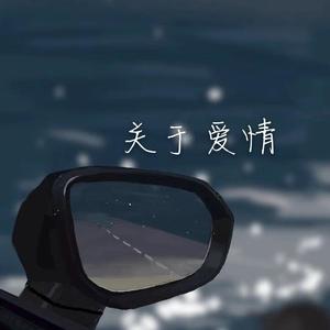 关于爱情（demo）