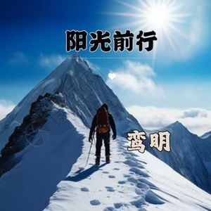 阳光前行