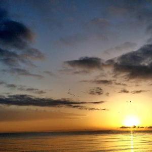 向你借来的爱你的勇气