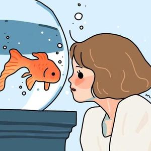 老男孩（抖音版）