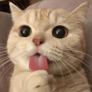 呼吸决定