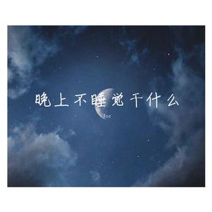 晚上不睡觉干什么（Prod.by Lv9）