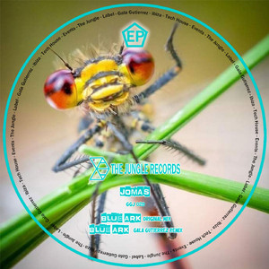 Blue Ark (Original Mix)