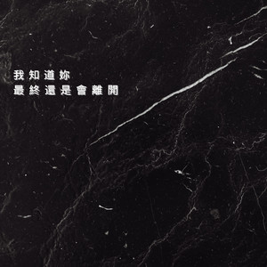 我知道妳最终还是会离开.