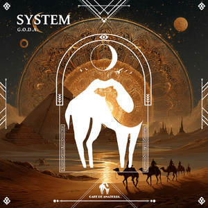 System