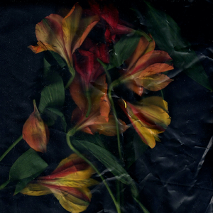 Another Fact (Magnus Larsson Remix)