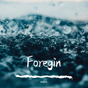 Trey Songz-Foreign（Remix）（VARIA remix）