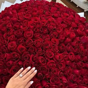 DarDi Yok Dëmsan Mini