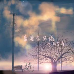 爱要怎么说（Prod.by 毒猫毒猫）