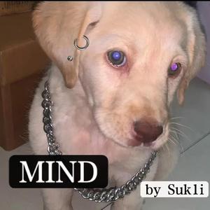 【FREE】“Hear With Me”142Bpm Beat-“MY MIND”