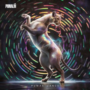 Puma's dance