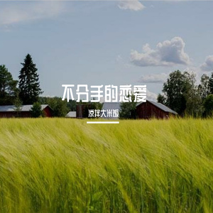 不分手的恋爱