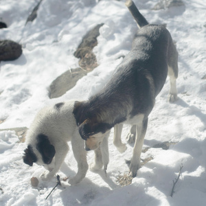 тут и там (here and there)