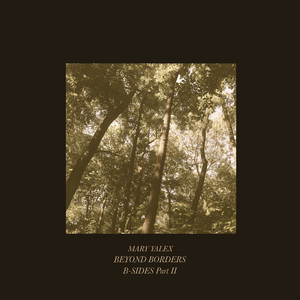 Beyond Borders (Bitterstrom Remix)