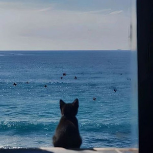 The Hook Up (sped up)