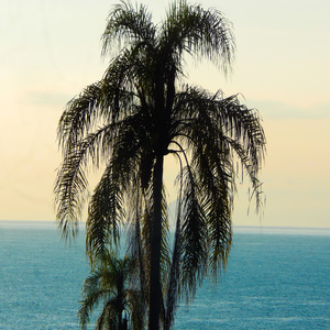 Surfistas de Tempestades