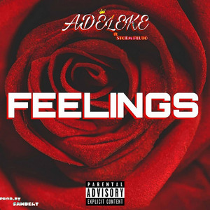 Feelings
