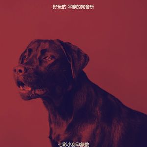 抚慰的可爱的狗回忆