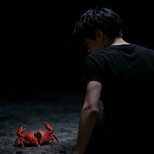 壳（受了伤的巨蟹）