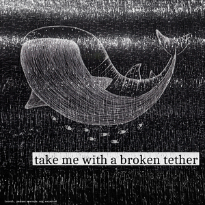 Take Me with a Broken Tether