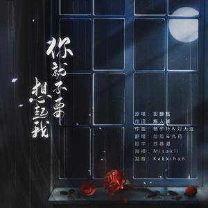你就不要想起我