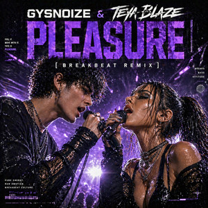 Pleasure (Breakbeat Remix)