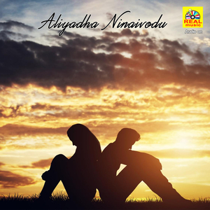 Aliyadha Ninaivodu