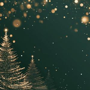 Christmas Love Story