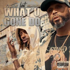 what u gone do (feat. paidro classic)