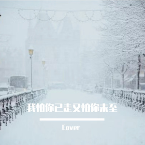 我怕你已走又怕你未至