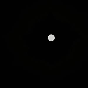 Moonlight