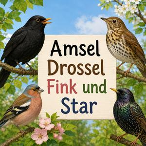 Amsel Drossel Fink und Star