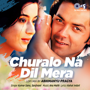 Churalo Na Dil Mera (Lofi Mix)