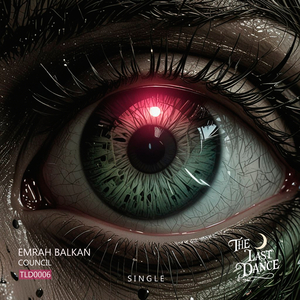 Council (Original Mix)