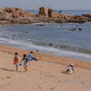 我是奶龙（星光闪闪）